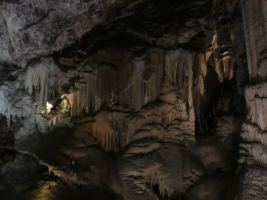 Karstik Mağarası nın Pivka nehir Postojna, Slovenya