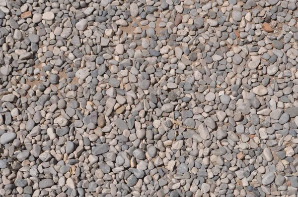 Grey Pebble Texture Useful Background — Stock Photo, Image