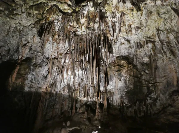 Krasová Řeka Pivka Jeskyně Postojna Slovinsko — Stock fotografie