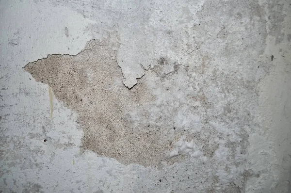 damage caused by dampness and moisture on a wall