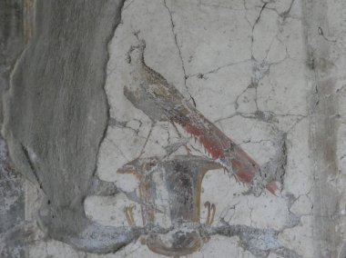 OPLONTIS, İtalya - CIRCA SEPTEMBER 2018: MS 79 'da Vesuvius Dağı' nın patlamasında volkanik küllerin altına gömülen antik Roma şehri Oplontis 'teki arkeolojik alanın kalıntıları