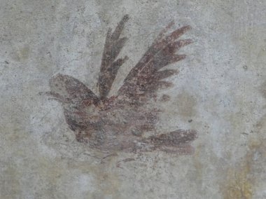 OPLONTIS, İtalya - CIRCA SEPTEMBER 2018: MS 79 'da Vesuvius Dağı' nın patlamasında volkanik küllerin altına gömülen antik Roma şehri Oplontis 'teki arkeolojik alanın kalıntıları