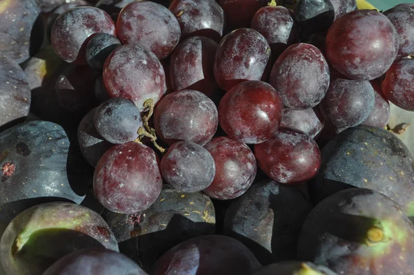 Rode Druiven Vitis Vinifera Gewone Vijgen Ficus Carica Fruit Vegetarisch — Stockfoto