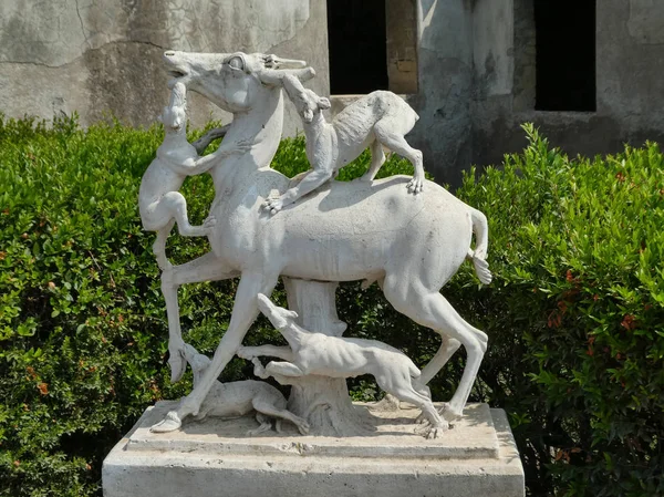 Ercolano Italy Circa Σεπτεμβριοσ 2018 Ερπετά Του Αρχαιολογικού Χώρου Στην — Φωτογραφία Αρχείου