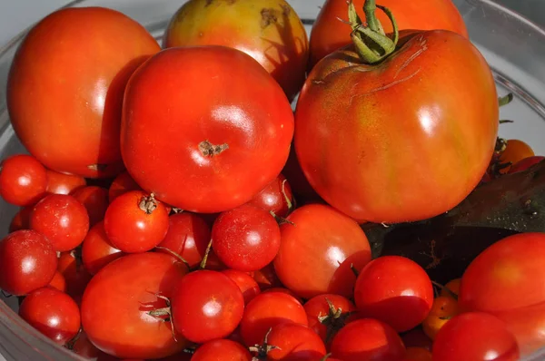 Tomate verduras alimentos —  Fotos de Stock