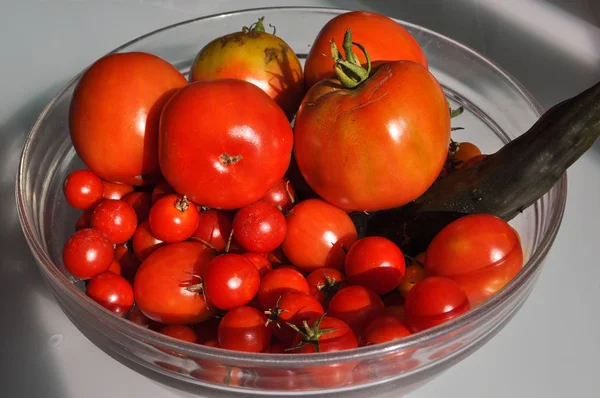 Rajčatová zelenina potraviny — Stock fotografie