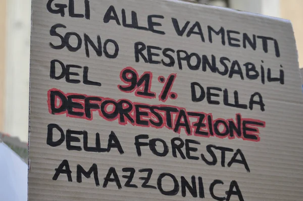 金曜日トリノでの未来の環境保護主義行進 — ストック写真