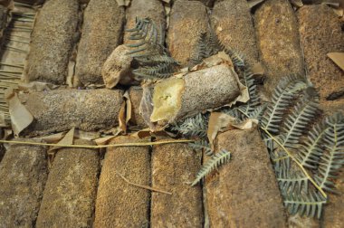 Peynir güzel yemek.