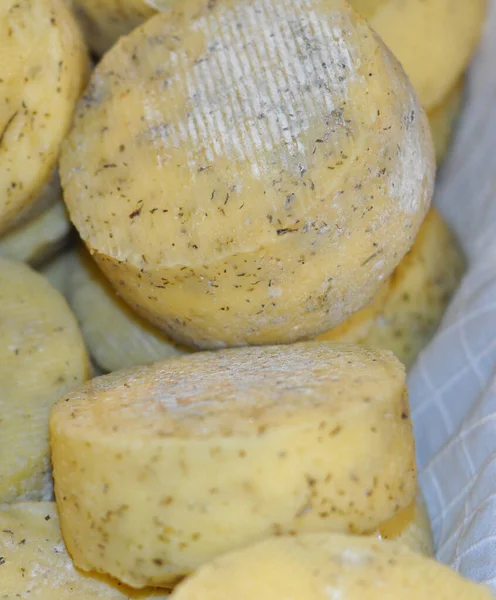 Pecorino kaas lekker eten — Stockfoto