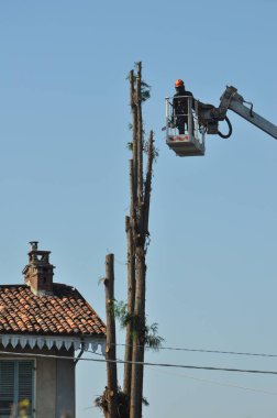 Tanınmayan bahçıvan vinç sepetinde bir ağacı buduyor koruyucu giysi ve tam yüz kalkanıyla (İtalyanca metin portata massima 120 kg: maksimum ağırlığı 265 lb)
