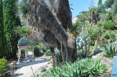 VENTIMIGLIA, ITALY - CIRCA AĞUSTOS 2020: Mortola 'daki Hanbury Botanik Bahçeleri
