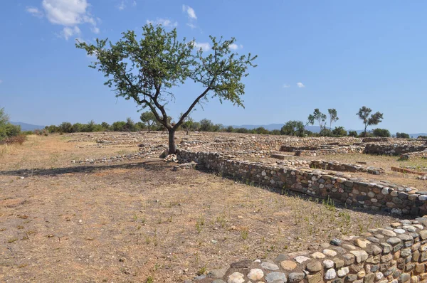 Yunanistan Chalkidiki Kentindeki Antik Olimpos Kentinin Kalıntıları — Stok fotoğraf