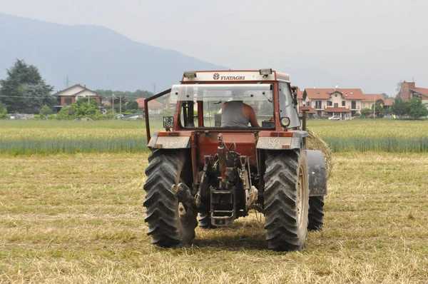 Turin Italien Circa Maj 2020 Traktor Lastning Runda Höbalar Gräs — Stockfoto
