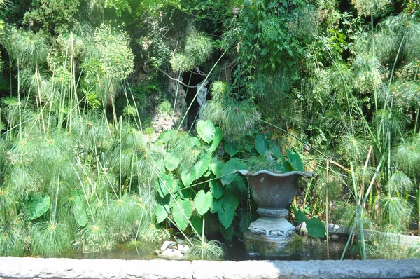 Ventimiglia Itálie Circa August 2020 Hanburské Botanické Zahrady Mortole — Stock fotografie