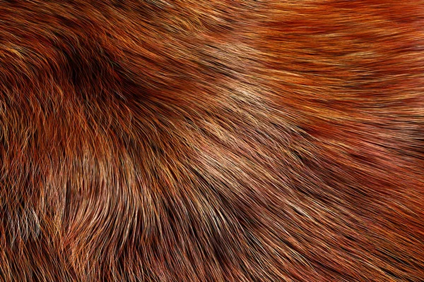 Dierlijke Bont Textuur Van Wolf Fox Extreme Close Rendering — Stockfoto