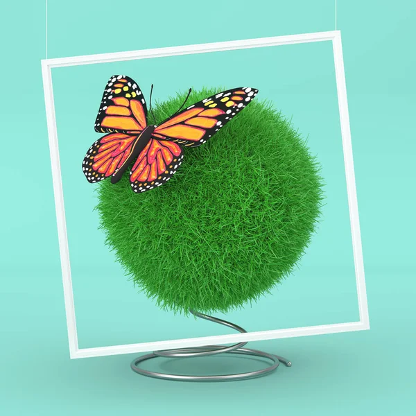 Concepto Ecología Linda Mariposa Con Colores Amarillo Naranja Sobre Bola —  Fotos de Stock