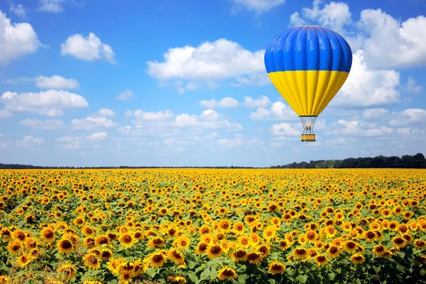 Hot Air Balloon with Flag of Ukraine Fly Over Sunflowers Field. — Stock Photo, Image