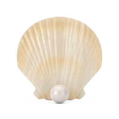 Güzellik Tarak Denizi veya Pearl ile Ocean Shell Seashell. 3d Render
