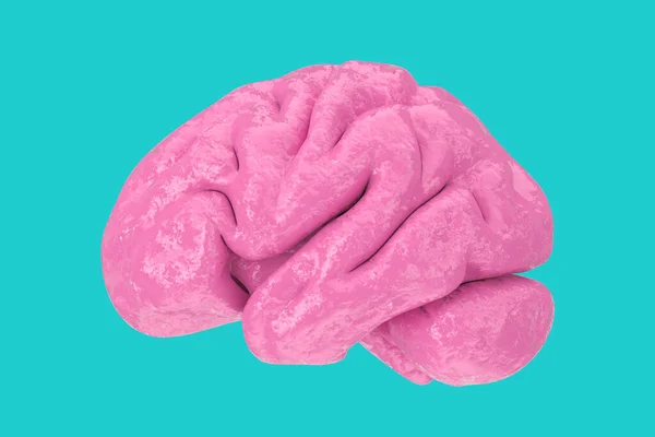 Anatomical Model Human Pink Brain Duotone Style Blue Background Renderizado —  Fotos de Stock