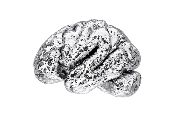 Anatomisch Model Van Human Silver Brain Een Witte Achtergrond Rendering — Stockfoto