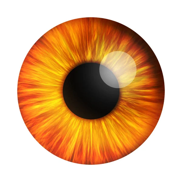Abstract Red Human Eyeballs Iris Pupil White Background Rendering — Stock Photo, Image