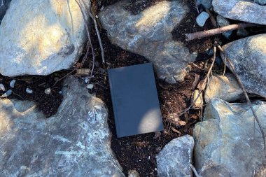 Orman arka planında tahta, kaya, dal ve boş kitap kapağı var.