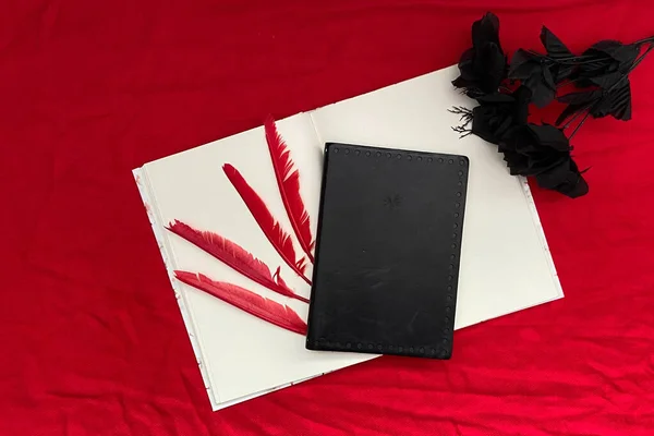 Red Background Flowers Feathers Blank Book — Stock Photo, Image