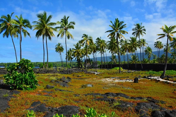 Puuhonua o Honaunau Milli Tarih Parkı, büyük ada, Hawaii