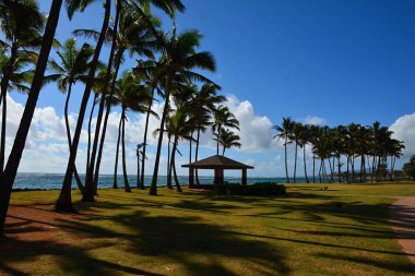 Harika Hawaiian Beach, Kauai, Hawaii
