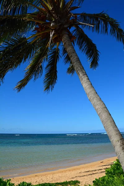 Harika Hawaiian Beach, Kauai, Hawaii