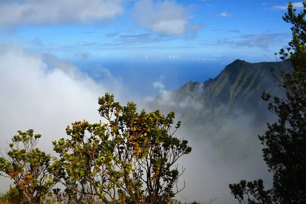 Тропа Живописному Побережью Пали Острове Кауаи Гавайи — стоковое фото