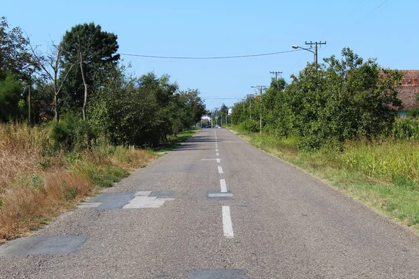 Route Pavée Droite Rurale Entre Prairies Verdoyantes Arbres Été Perspective — Photo