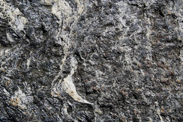 High metamorphic grade schist rock with white veins