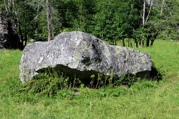 Pedra Errática Rocha Granítica Nos Alpes — Fotografia de Stock