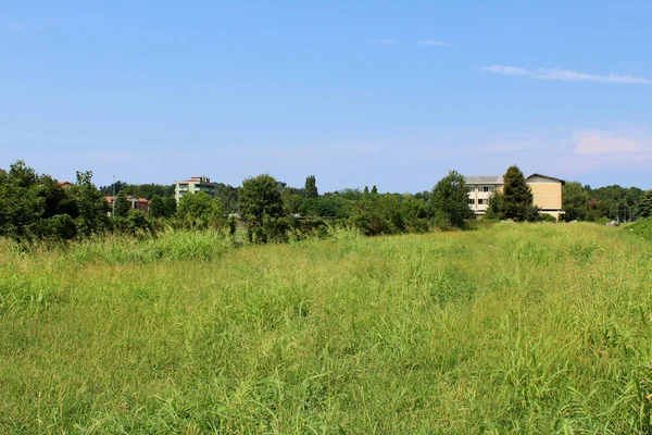 Green Field Trees Houses Distance — Stock Photo, Image