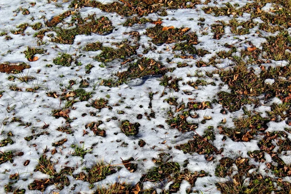 Derretimento Neve Gelada Inverno — Fotografia de Stock