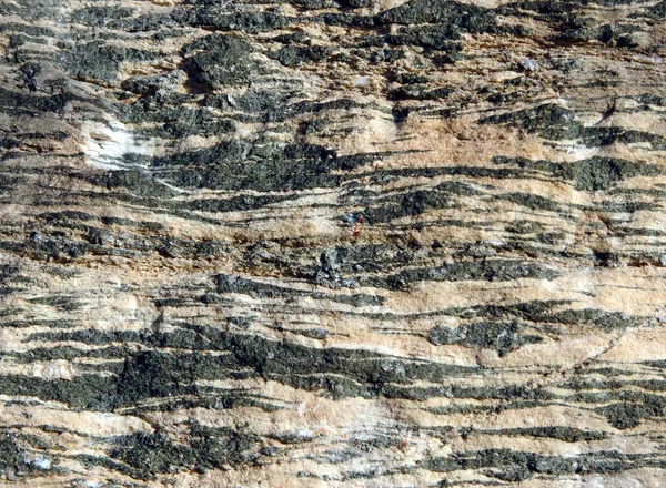 Katmanlı Siyah Beyaz Metamorfik Kaya — Stok fotoğraf
