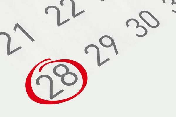 28 numaralı tarihi işaretle, kırmızı işaretli sayıya odaklan..