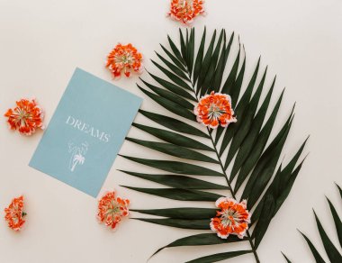 Düz yatıyordu yaz kompozisyon. Yaratıcı kavramı tropikal yaprak ve davetiye. Üstten görünüm, kopya alanı