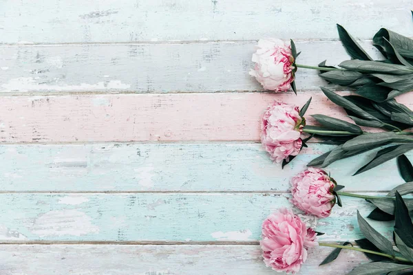 Mooie Pioenroos Bloemen Licht Blauwe Houten Planken Achtergrond — Stockfoto