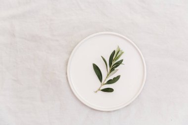 zeytin dalı üstten görünüm keten zemin üzerinde porselen tabakta