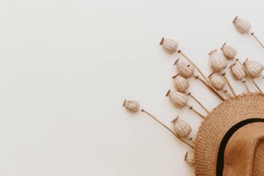 Beyaz arka plan üzerinde kurutulmuş haşhaş başkanları ve şapka üstten görünüm