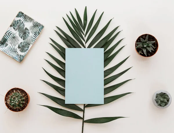 Deitado Plano Com Papel Azul Branco Folha Palma Tropical Cacto — Fotografia de Stock