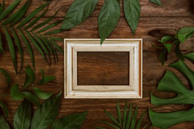 Altın Çerçeve yat ve tropikal ahşap arka plan üzerinde bırakır.