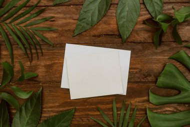 Lay düz yaratıcı kartı ile ahşap arka plan doğa kavramı üzerinde bırakır