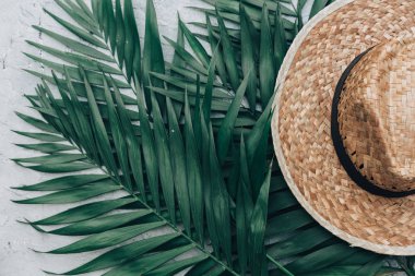 En az lyfestyle kavramı, hasır şapka, yaz arka plan tropikal palmiye yaprakları. Düz yatıyordu, en iyi görünümü.