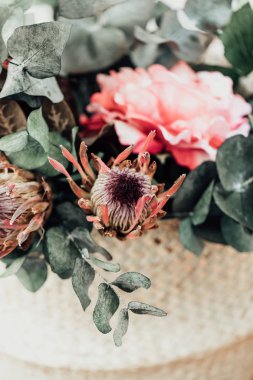 Protea çiçeklerle kuru okaliptüs ışık arka plan üzerinde 