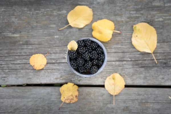 Blackberries Decorative Cup — Stock Photo, Image