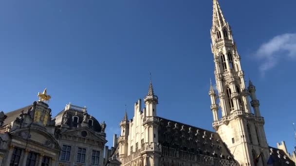 Bruxelles Grand Place — Vídeos de Stock