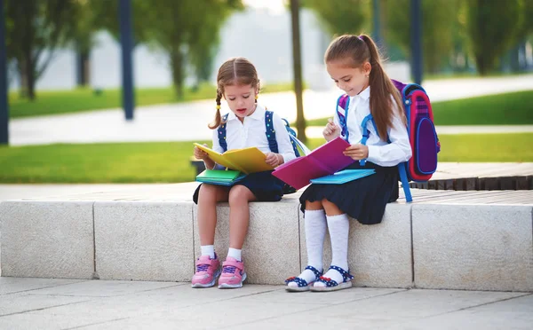 Ppy Niños Niñas Novia Colegiala Estudiante Elementary Schoo —  Fotos de Stock